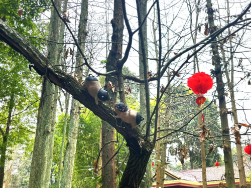 把咖啡馆开在“猪圈”生意还越来越好怎么回事？(图8)
