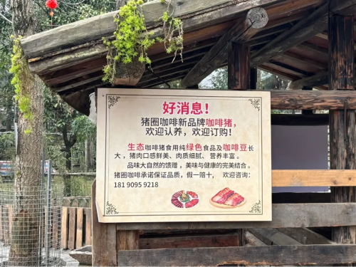 把咖啡馆开在“猪圈”生意还越来越好怎么回事？(图9)