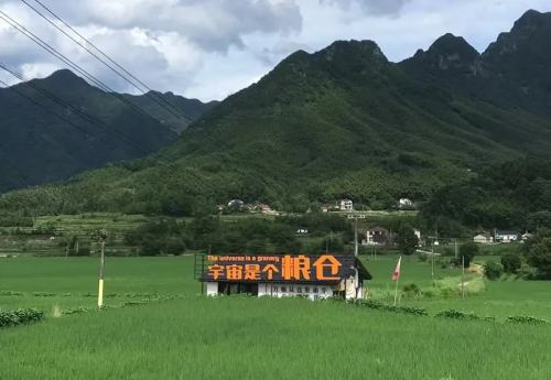 把咖啡馆开在“猪圈”生意还越来越好怎么回事？(图13)