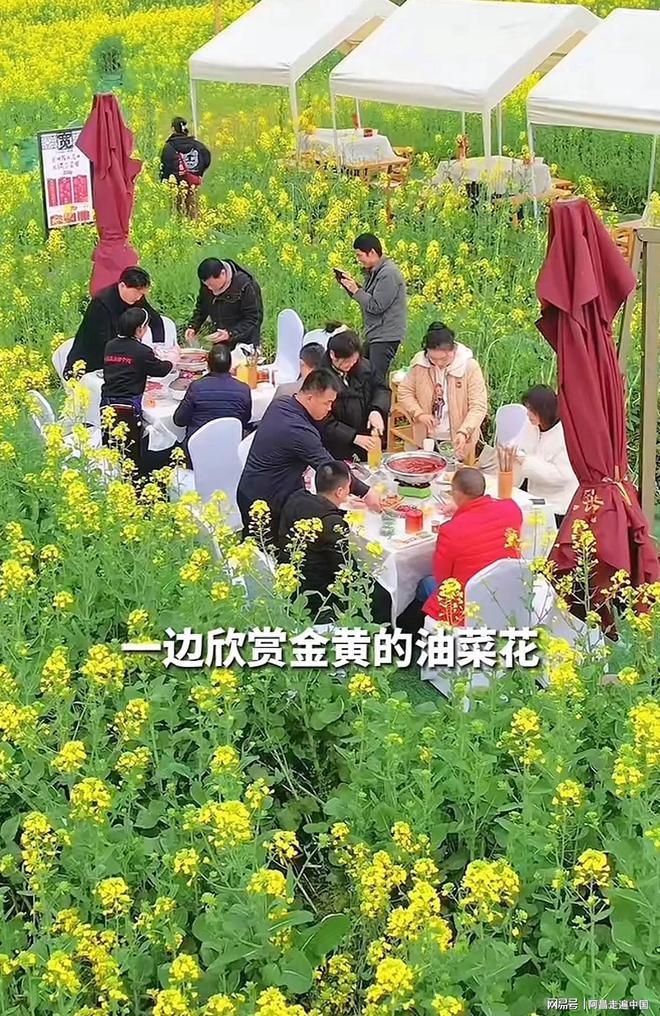 四川成都万亩油菜花海一群游客在吃火锅:乡村旅游玩出新高度(图2) 四川成都万亩油菜花海一群游客在吃火锅:乡村旅游玩出新高度(图2)