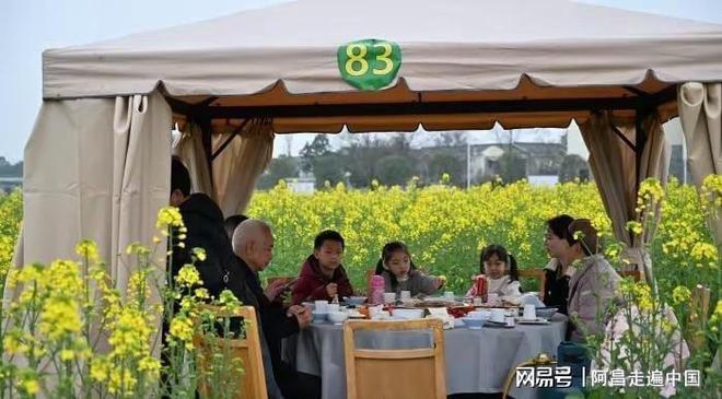 四川成都万亩油菜花海一群游客在吃火锅:乡村旅游玩出新高度(图3) 四川成都万亩油菜花海一群游客在吃火锅:乡村旅游玩出新高度(图3)
