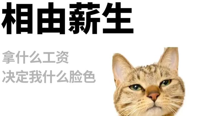 月薪5000不配吃火锅？巴奴老板的“消费分层论”刺痛了谁？(图3)