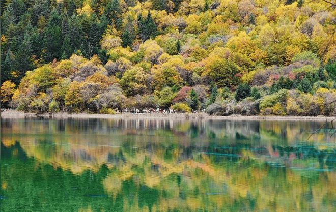 前往四川旅游五天旅游需要准备多少费用？四川游玩五天行程足够了(图1)