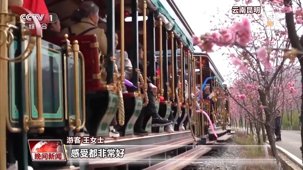 “花式派对”开启！玉兰怒放、冰凌破土火锅走进油菜花田(图3)