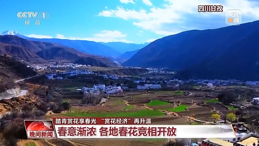 “花式派对”开启！玉兰怒放、冰凌破土火锅走进油菜花田(图1)