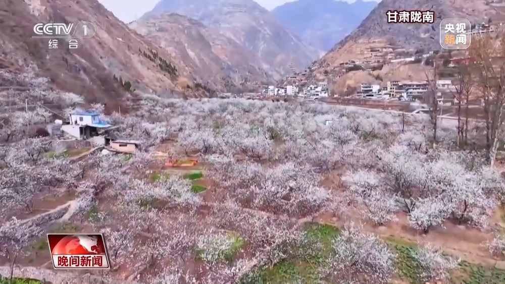 “花式派对”开启！玉兰怒放、冰凌破土火锅走进油菜花田(图4)