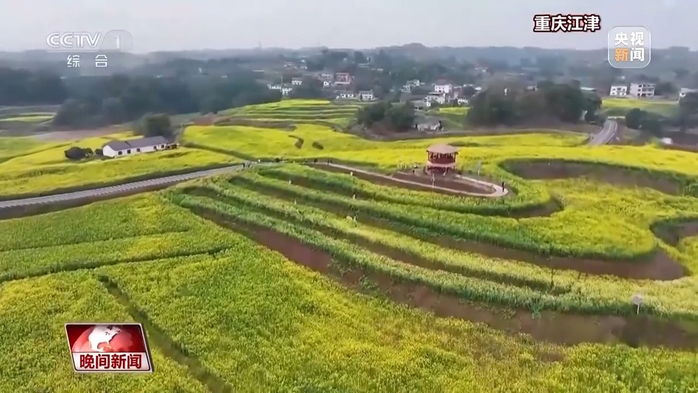 “花式派对”开启！玉兰怒放、冰凌破土火锅走进油菜花田(图5)
