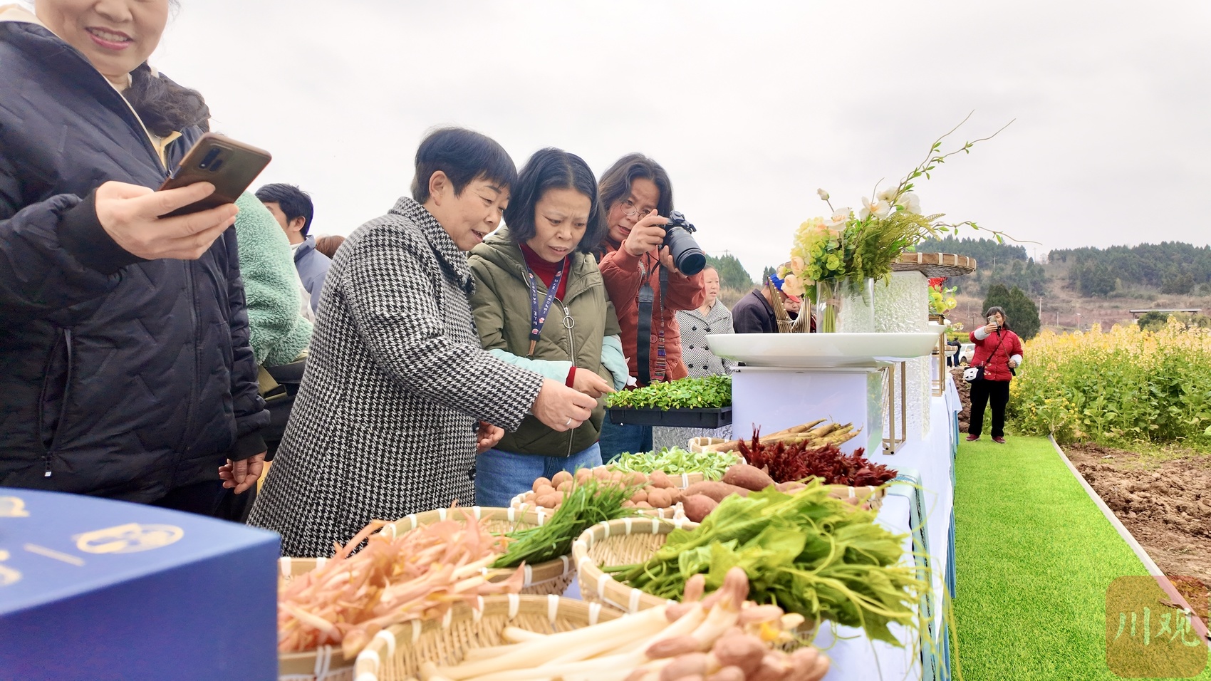 花开资阳②｜把春天涮进火锅里！乐至首届田园油菜花火锅美食文化体验活动开启(图1)