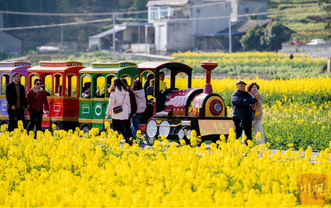 观察春日流量如何变“留量”？宜宾赏花经济玩出新“花”样(图1)