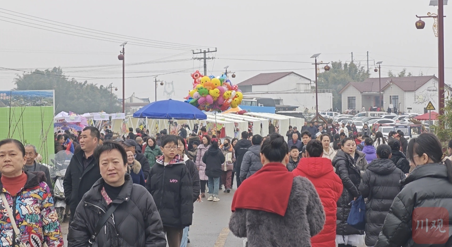 观察春日流量如何变“留量”？宜宾赏花经济玩出新“花”样(图3)