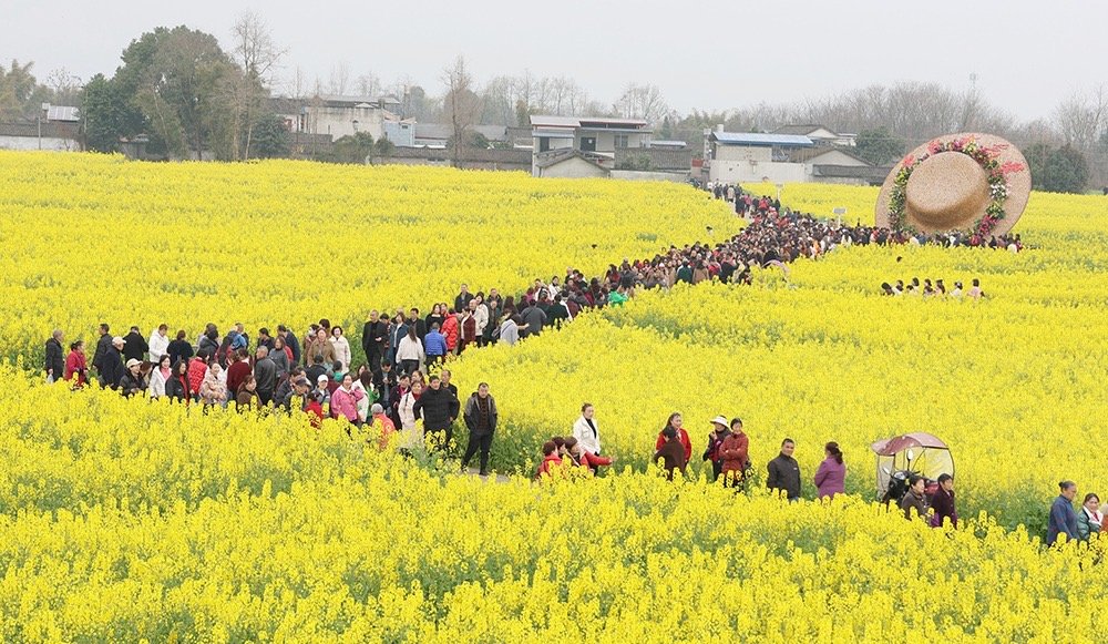 花田火锅香春日赏花忙——什地镇油菜花节开启“美景美食”双享模式(图2)