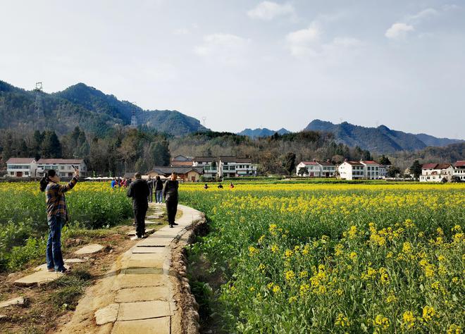 “赏花+”扮靓春游新体验(图1)