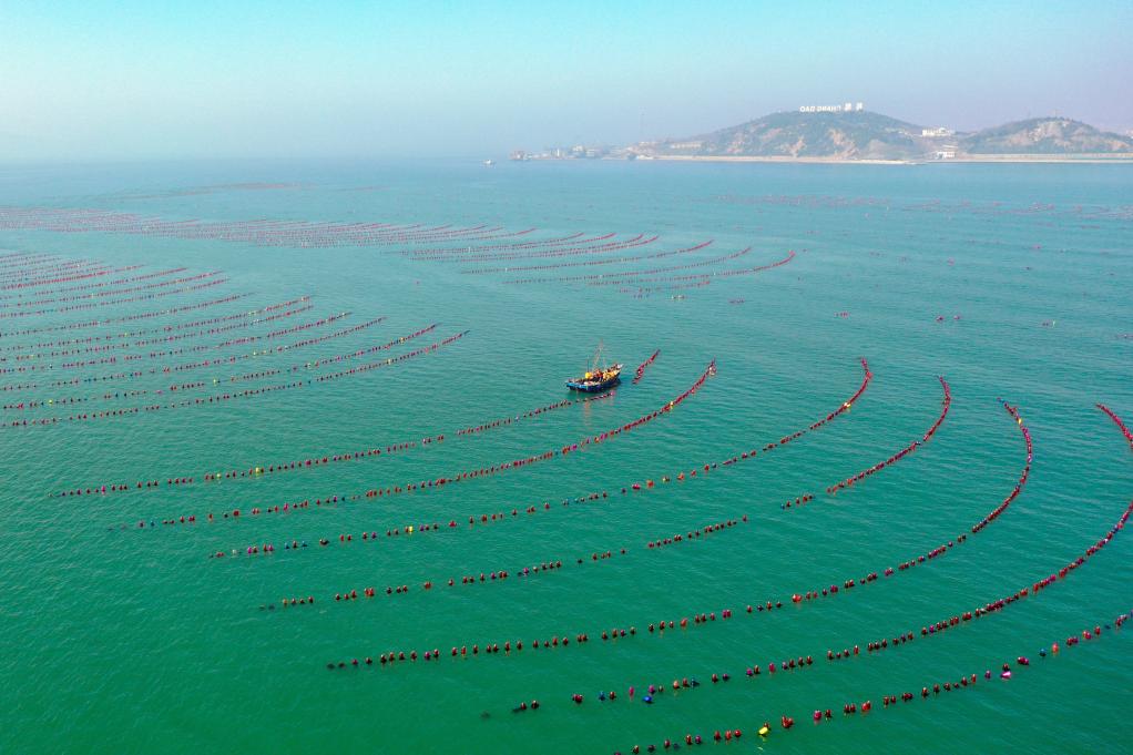 犁翻千层浪 人勤地不懒——从春耕一线看山东为农业高质量发展积蓄新动能(图2)