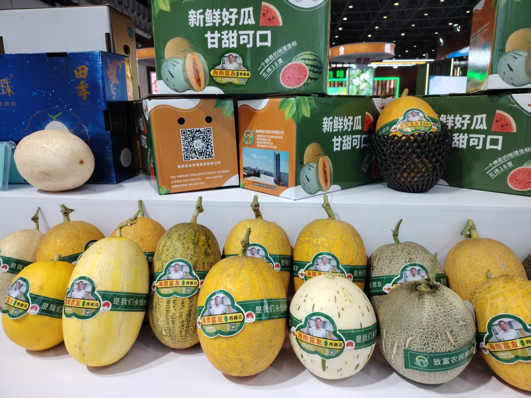 “海南鲜品”产业集群引领中国热带农业高质量发展(图1)