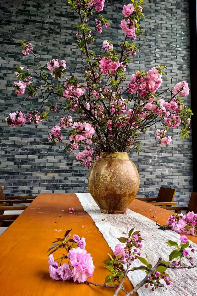 踏青赏花正当时 成都清明节休闲度假类酒店和民宿预订火爆(图3)