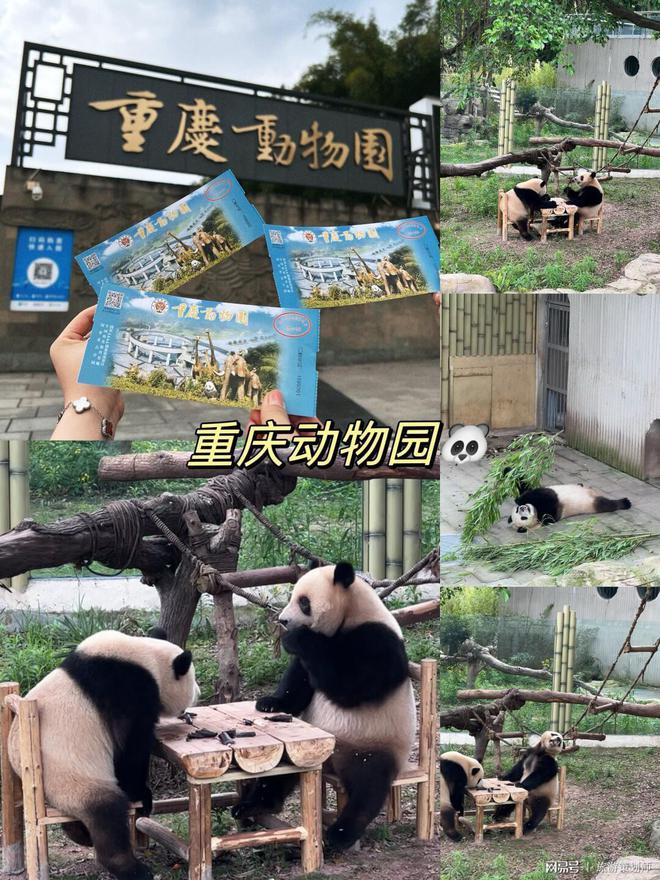 重庆旅游攻略三天自由行这份指南超实用！(图2)