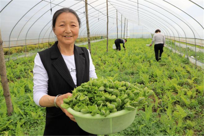 火锅大牌扎堆上新“山野春菜”狂吸流量！(图4)