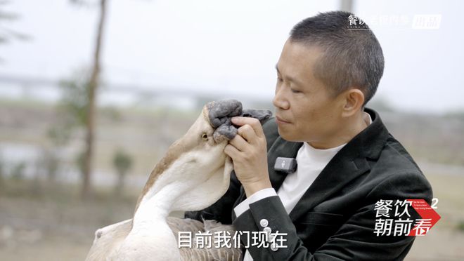餐饮孤岛潮汕：食材不够好宁愿不出岛！(图6)