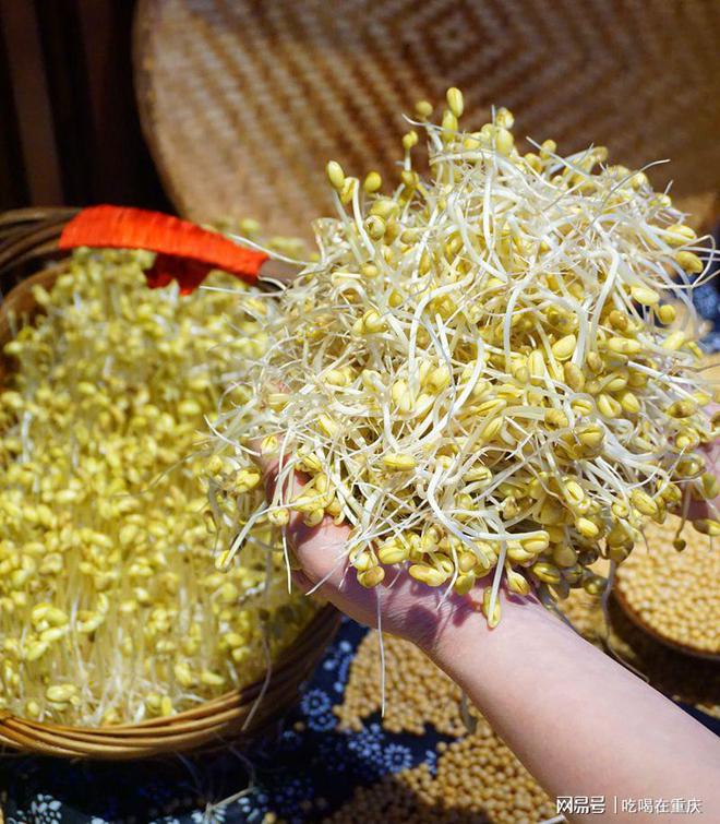 这才是重庆毛肚火锅那久违的味道 谢家山山货火锅(图6)